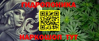 герыч Новодвинск