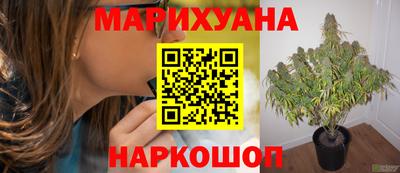 герыч Новодвинск